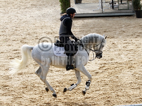Moushah (Teymur B x Authentic Mouna) * 2013