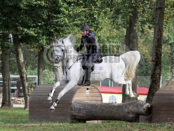 Moushah (Teymur B x Authentic Mouna) * 2013