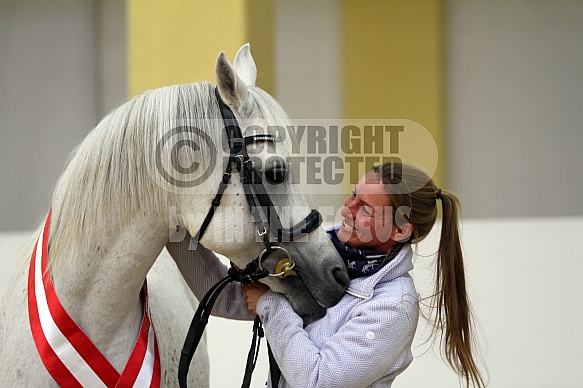 Moushah (Teymur B x Authentic Mouna) * 2013