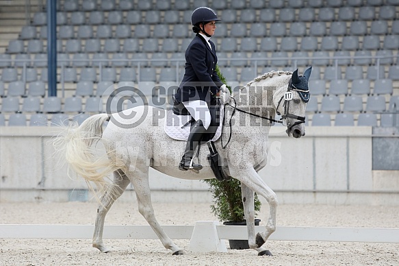Saga ShA (Salazar S / Scheria) 2011
