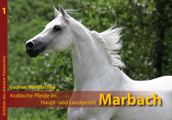 Marbach-Buch